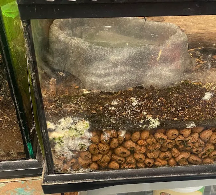 Exotic Fish & Reptiles Picture 2