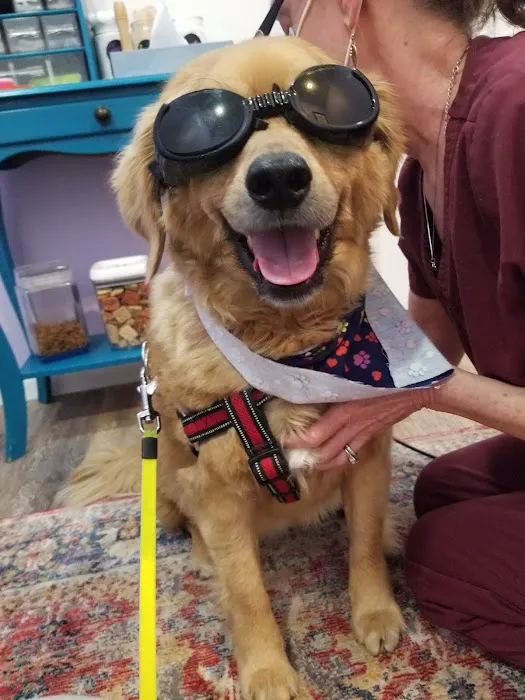 Kindred Integrative Veterinary Services Picture 4
