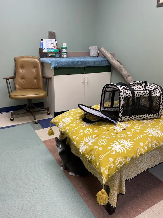 Kindred Integrative Veterinary Services Picture 7