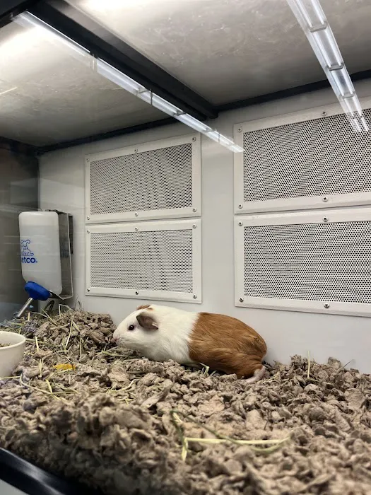 Petco Picture 1