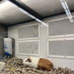 Petco