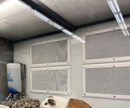 Petco