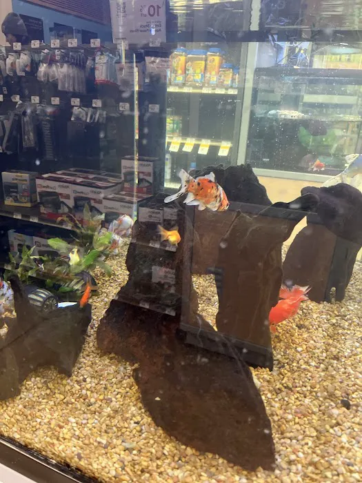 Petco Picture 7