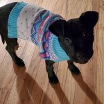 Runaway Farm Pet Hospital