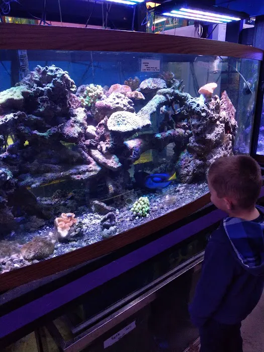 Waterbury Aquarium Picture 1