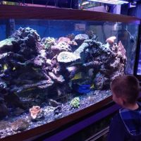 Waterbury Aquarium ico