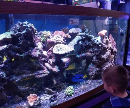 Waterbury Aquarium