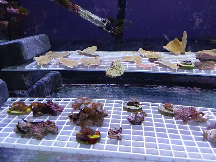 Waterbury Aquarium Picture 4