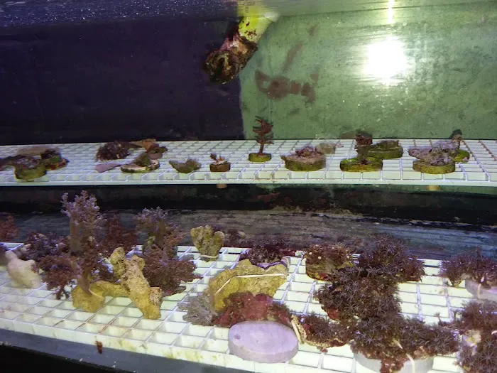 Waterbury Aquarium Picture 3