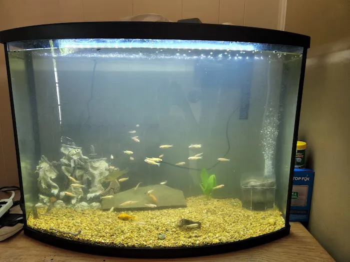 Waterbury Aquarium Picture 5