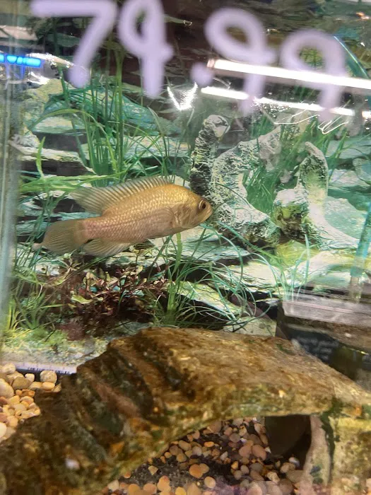 Waterbury Aquarium Picture 7