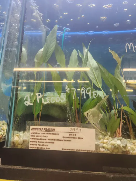 Waterbury Aquarium Picture 6