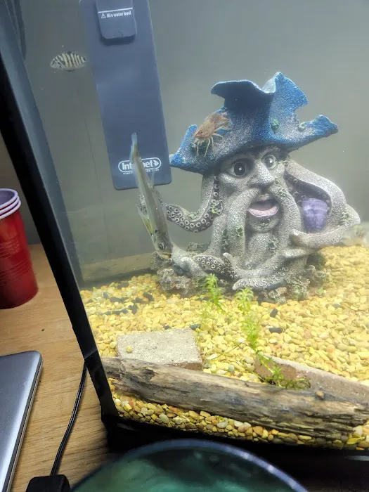 Waterbury Aquarium Picture 10