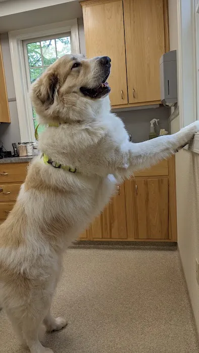 Patt Veterinary Hospital Picture 8