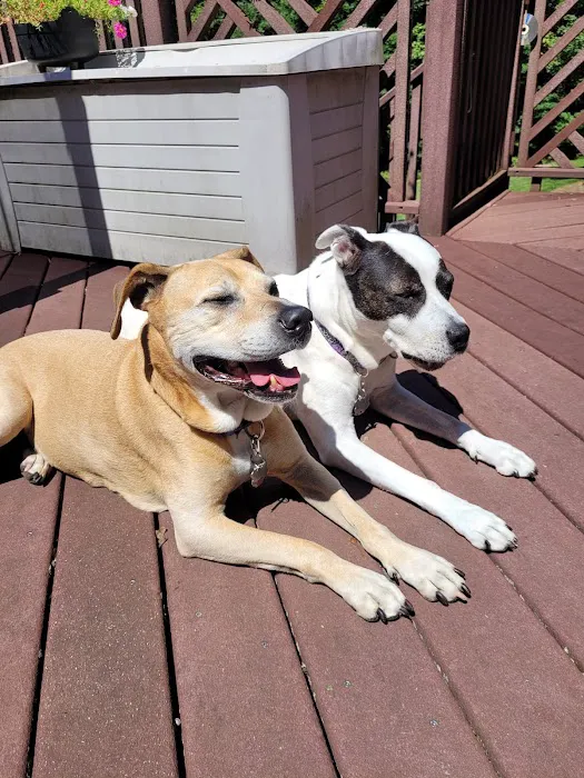 Patt Veterinary Hospital Picture 9