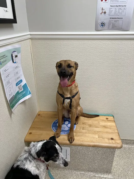 Patt Veterinary Hospital Picture 10