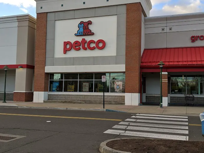 Petco Picture 2