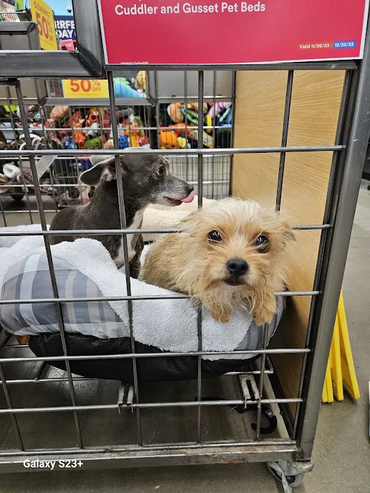 Petco Picture 4