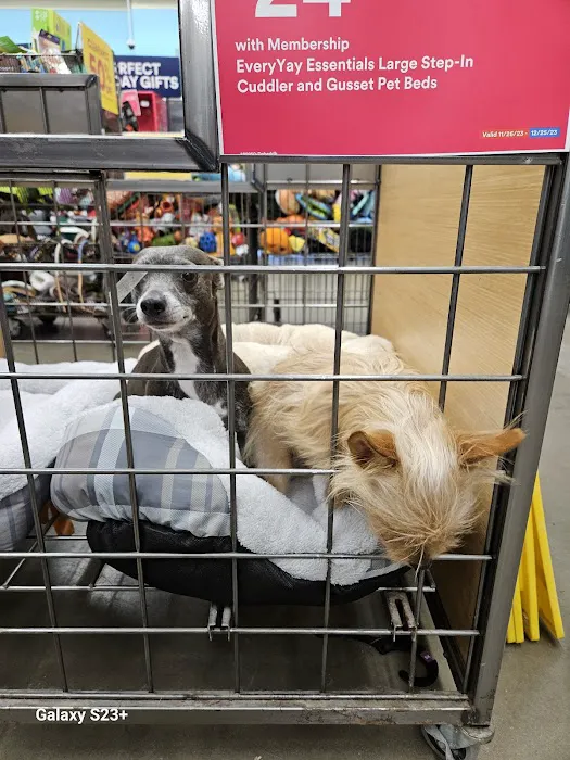 Petco Picture 3