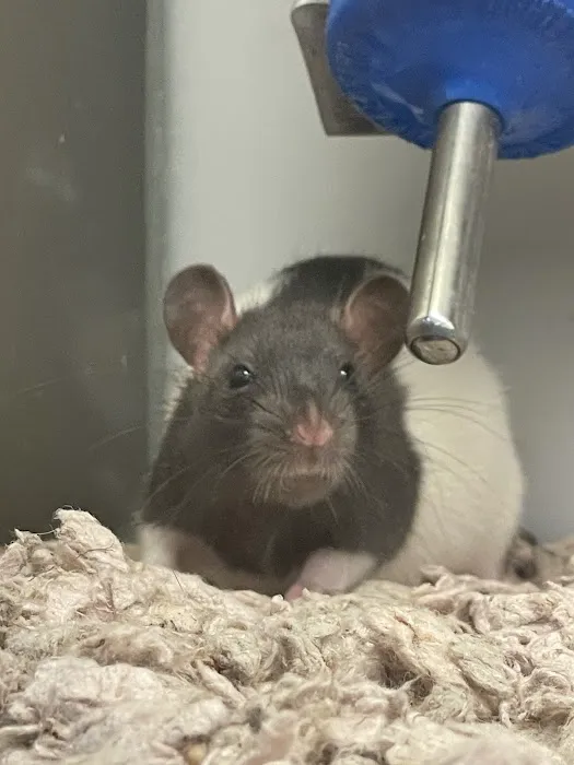 Petco Picture 8