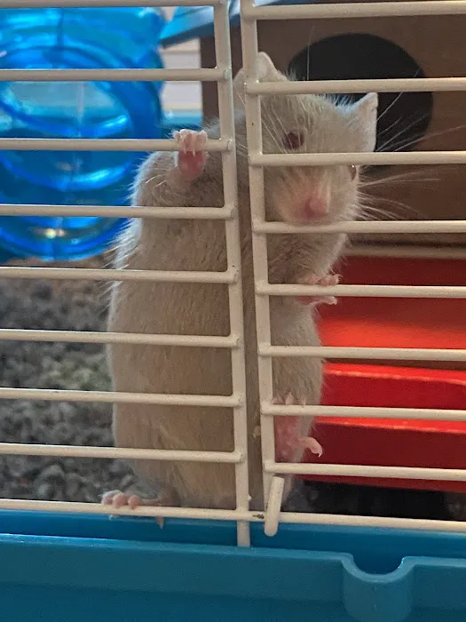 Petco Picture 5