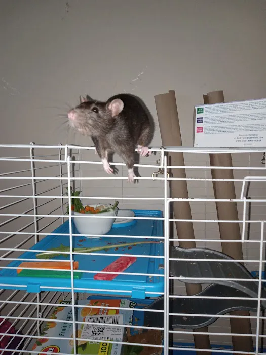 Petco Picture 10