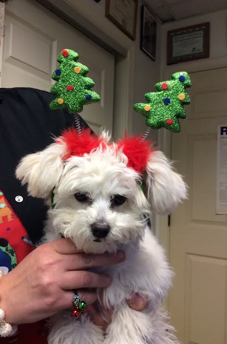 Ironstone Veterinary Hospital Picture 1