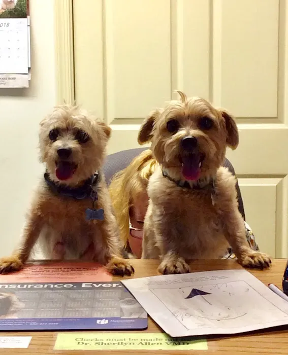 Ironstone Veterinary Hospital Picture 5