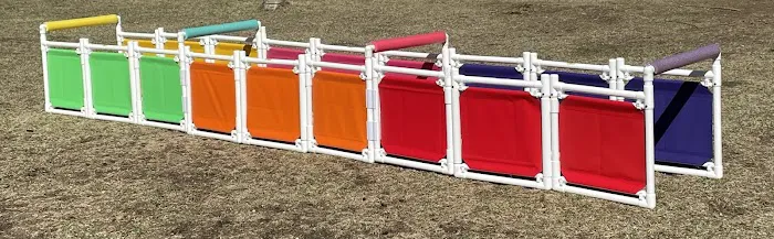 Dog Agility Innovations Picture 1
