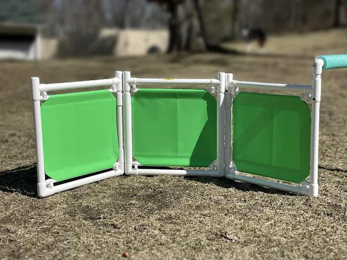 Dog Agility Innovations Picture 6
