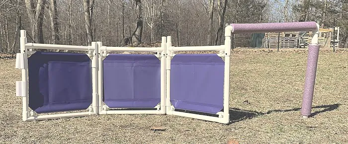 Dog Agility Innovations Picture 9