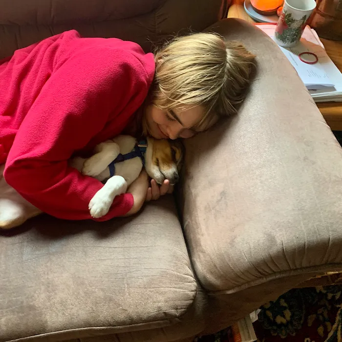 Companion Pet Supply Picture 2