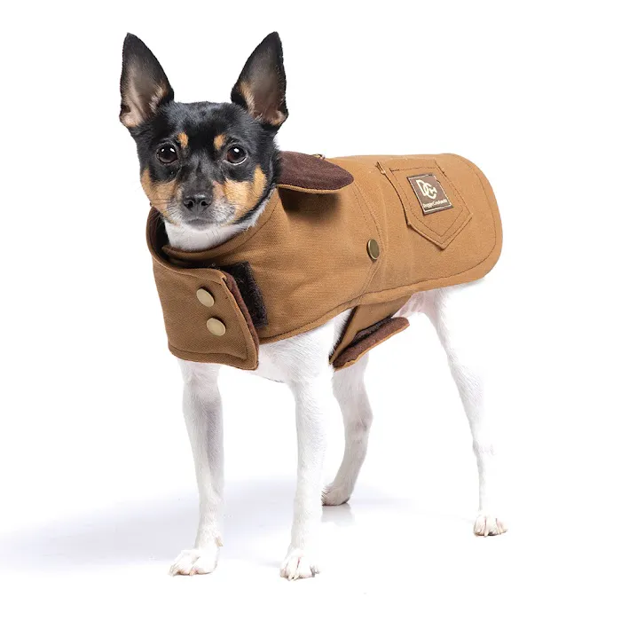DoggieCoutureNY Picture 1