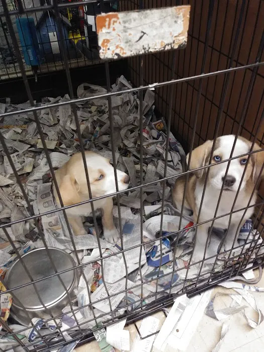 Liberty Pet & Supply Picture 3