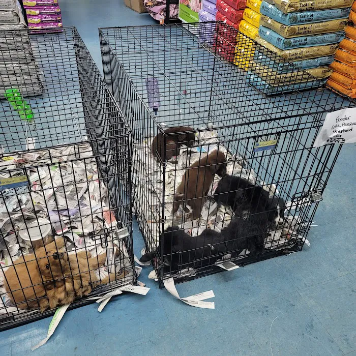 Liberty Pet & Supply Picture 2