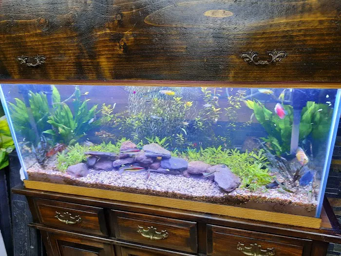 Liberty Pet & Supply Picture 1