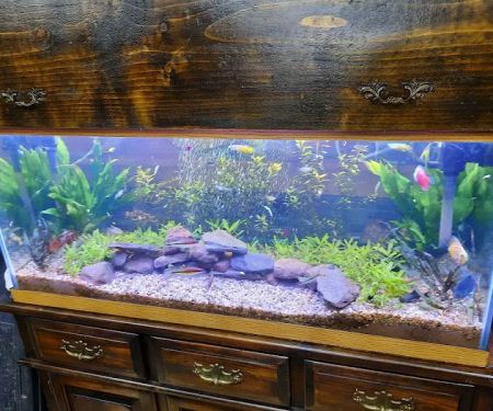 Liberty Pet & Supply