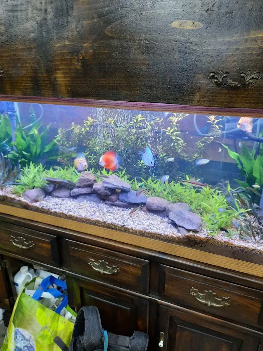 Liberty Pet & Supply Picture 4