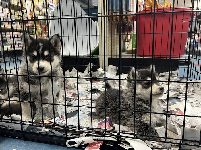 Liberty Pet & Supply Picture 7