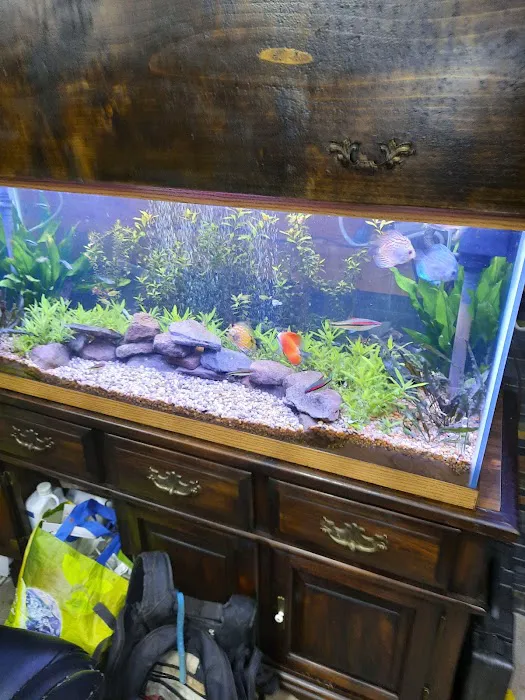 Liberty Pet & Supply Picture 6