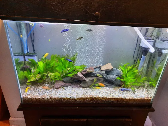 Liberty Pet & Supply Picture 8