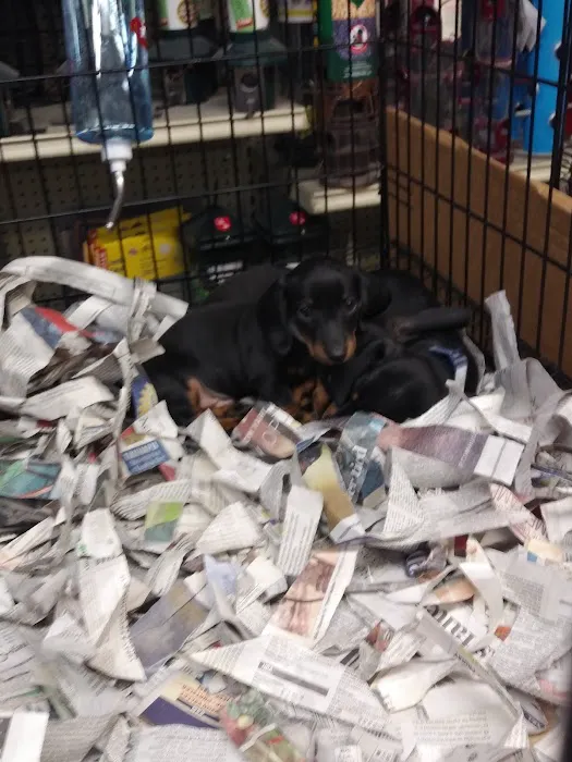 Liberty Pet & Supply Picture 5