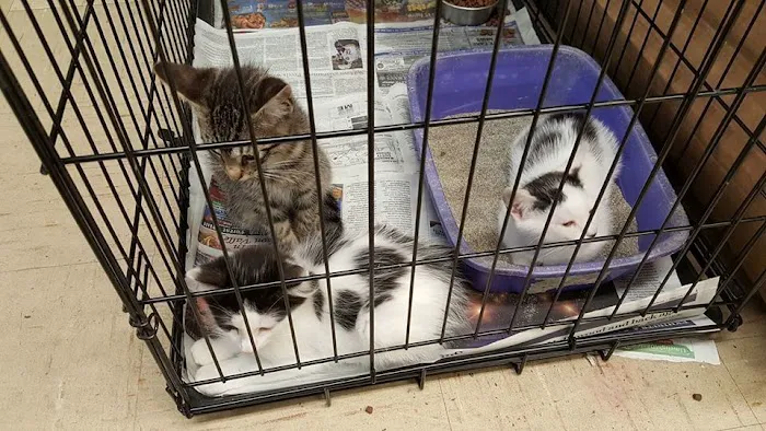 Liberty Pet & Supply Picture 9