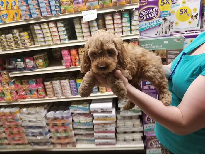 Liberty Pet & Supply Picture 10