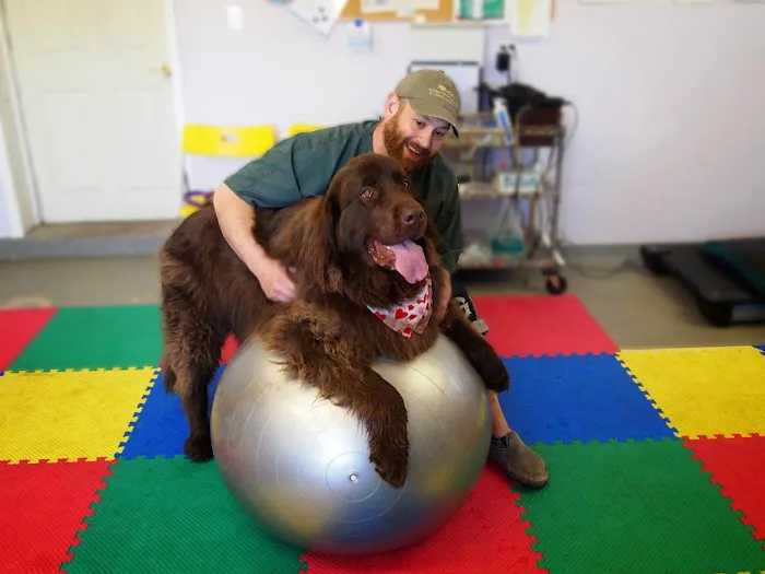 AnWell Veterinary Rehab & Conditioning Center Picture 1