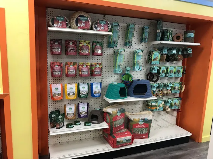 Hometown Pet Shop Pet Supplies & Dog Grooming Picture 6