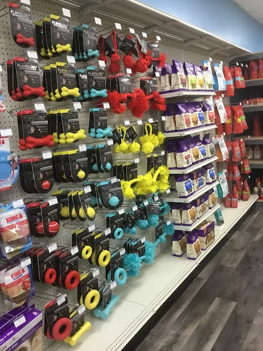 Hometown Pet Shop Pet Supplies & Dog Grooming Picture 7