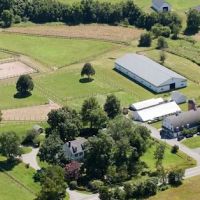 Spring Mills Veterinary Hospital ico