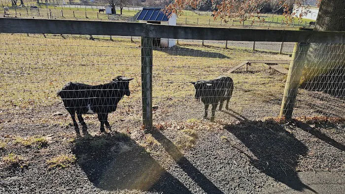 Spring Mills Veterinary Hospital Picture 2