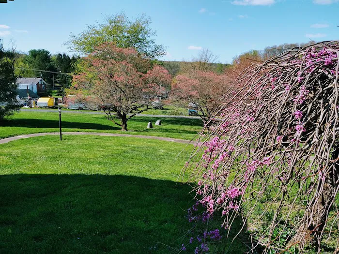 Saucon Valley Animal Hospital Picture 3